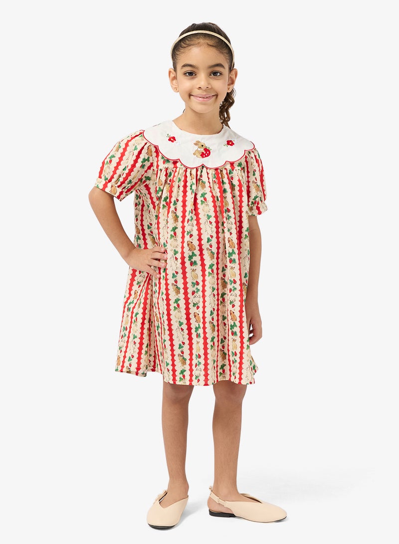 Pinata Embroidered Collar Printed Dress - Image 4